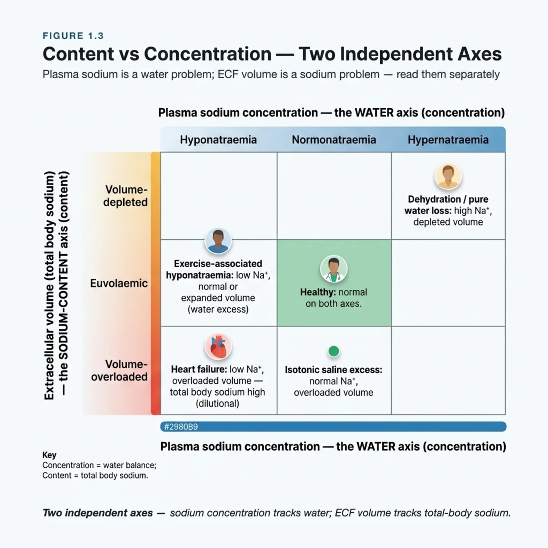 Figure 1.3 - Content versus Concentration — Two Independent Axes