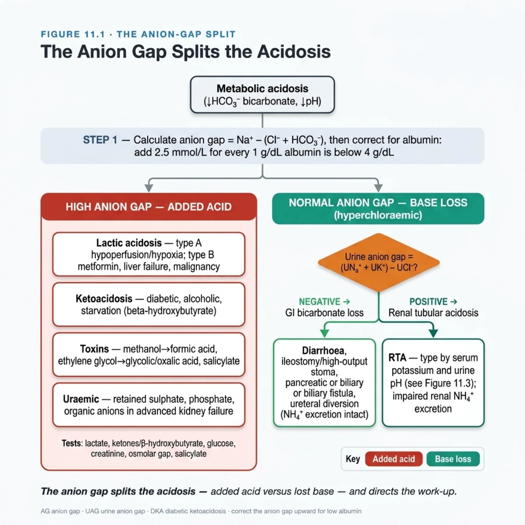 Figure 11.1 - The Anion-Gap Split