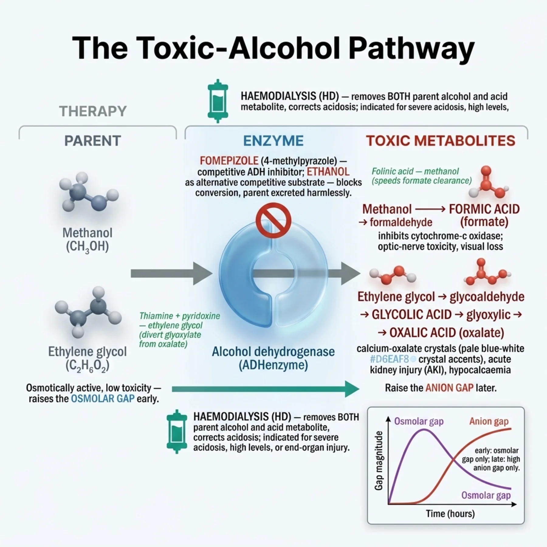 Figure 11.2 - The Toxic-Alcohol Pathway