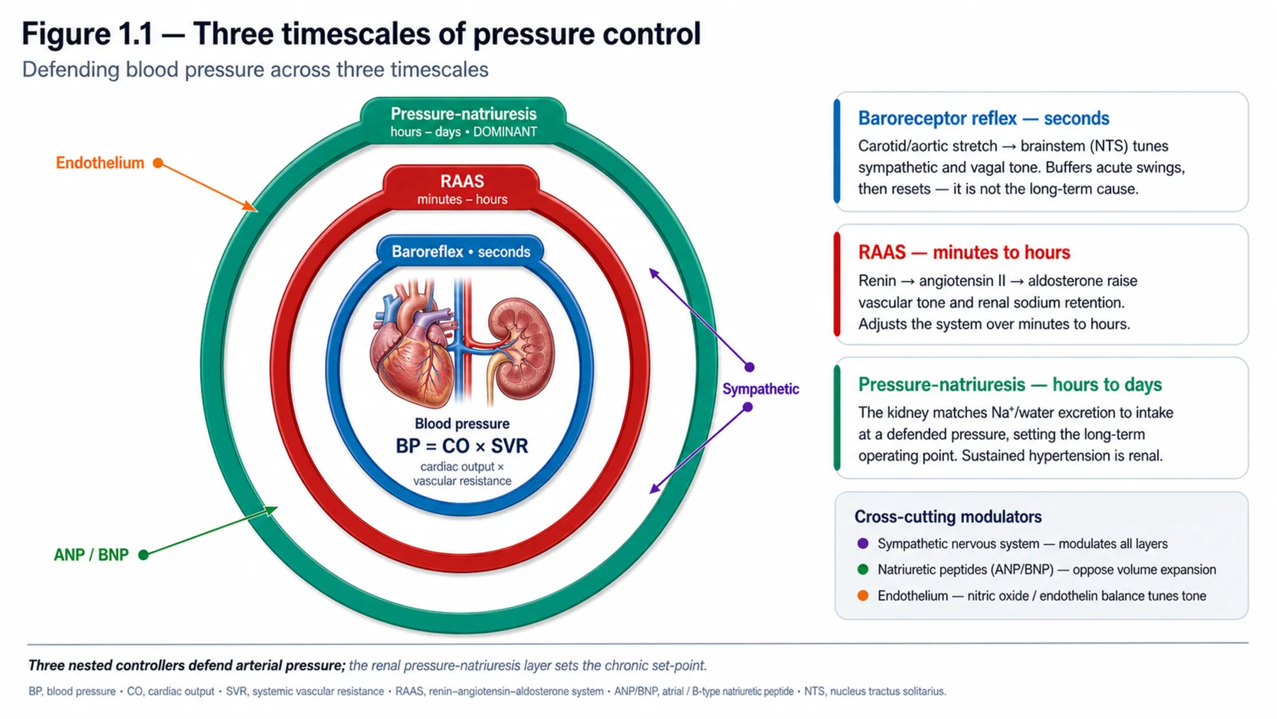 Figure 1.1 - Three timescales of pressure control
