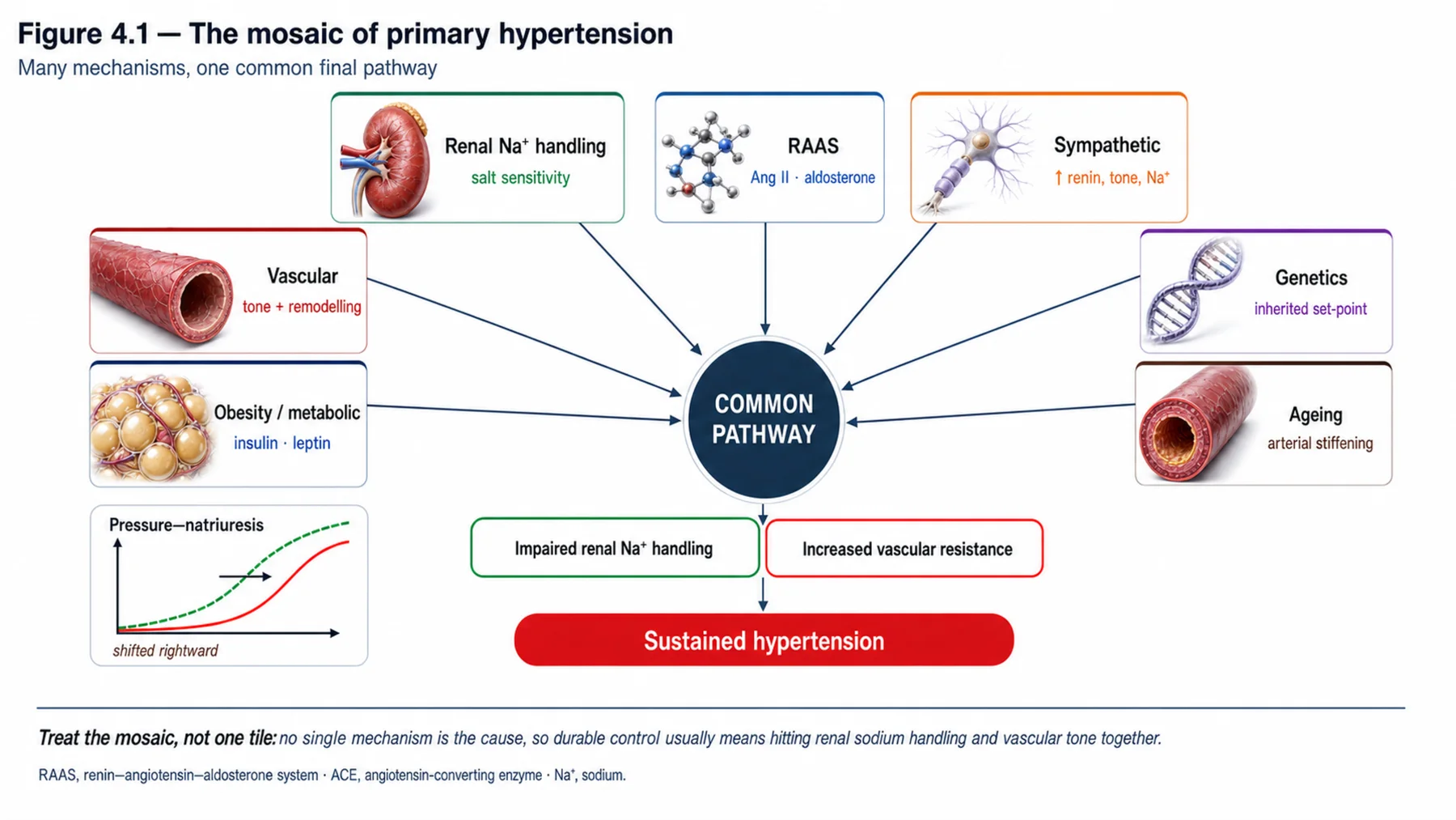 Figure 4.1 - The mosaic of primary hypertension