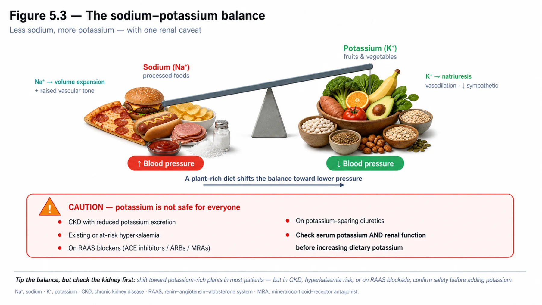 Figure 5.3 - The sodium–potassium balance