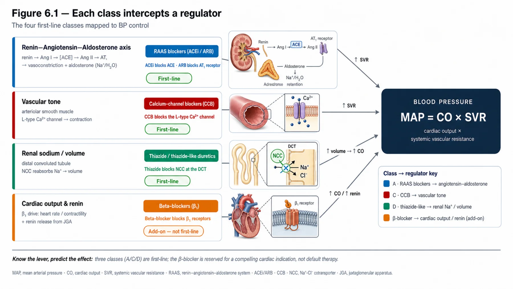 Figure 6.1 - Each class intercepts a regulator
