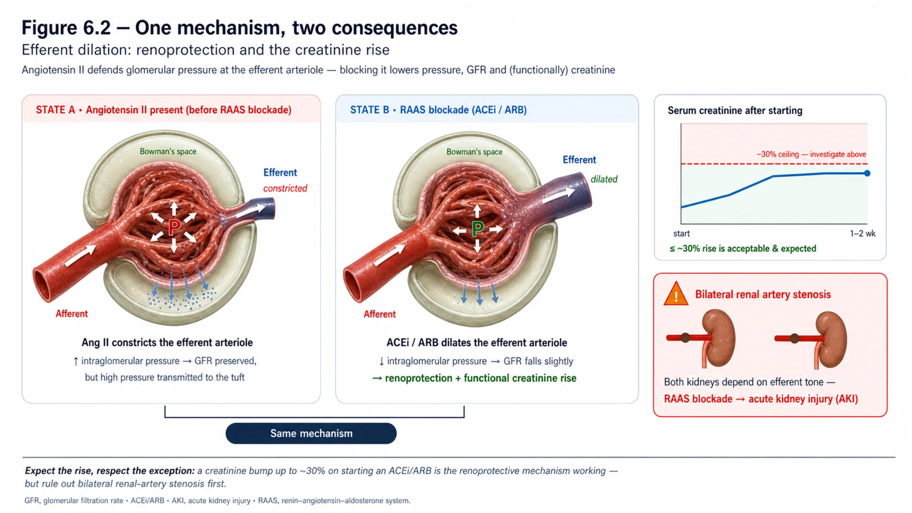 Figure 6.2 - One mechanism, two consequences