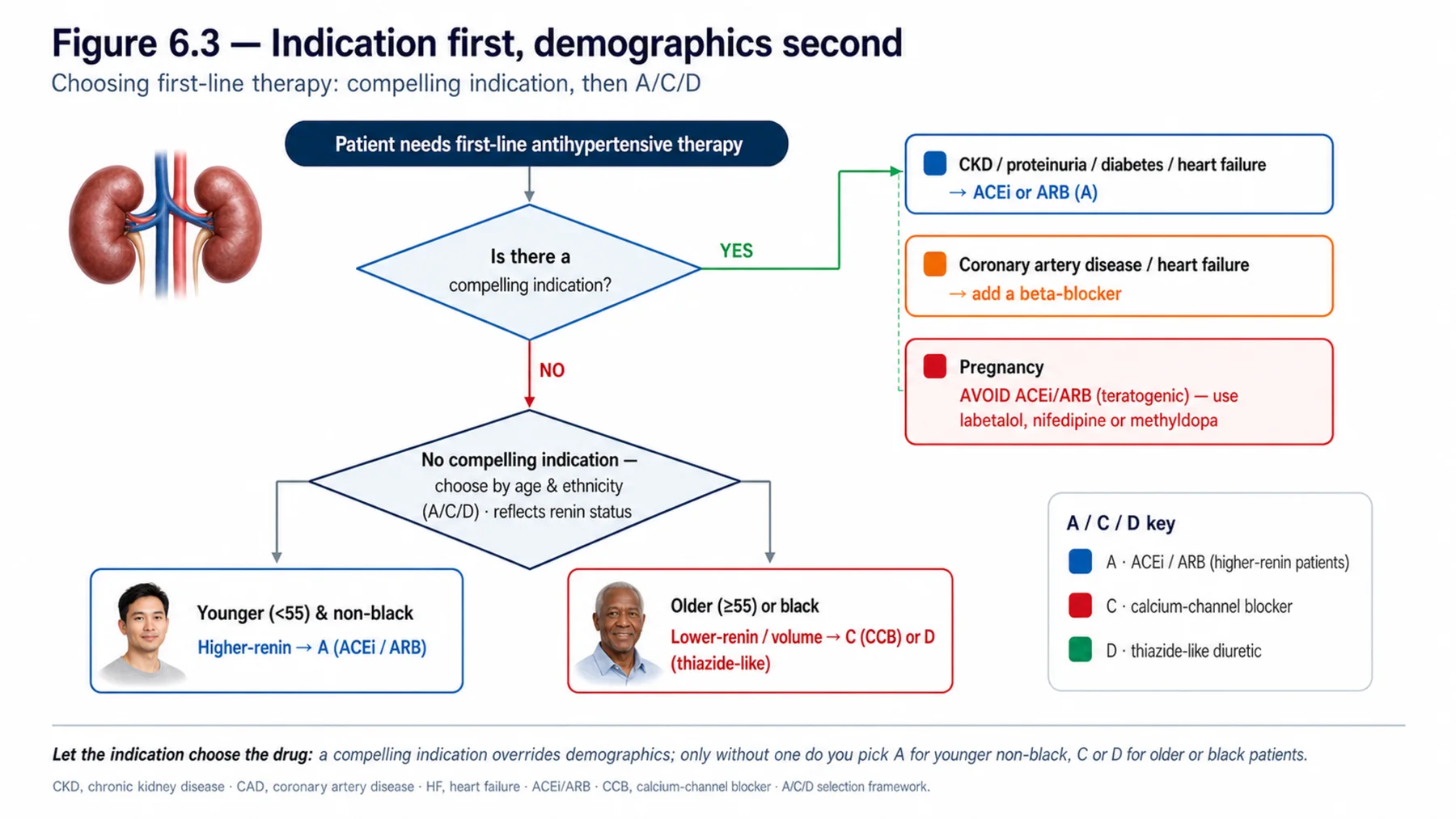Figure 6.3 - Indication first, demographics second