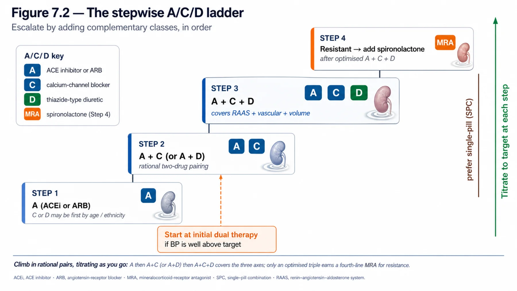 Figure 7.2 - The stepwise A-C-D ladder