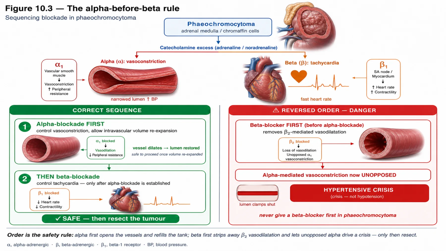 Figure 10.3 - The alpha-before-beta rule