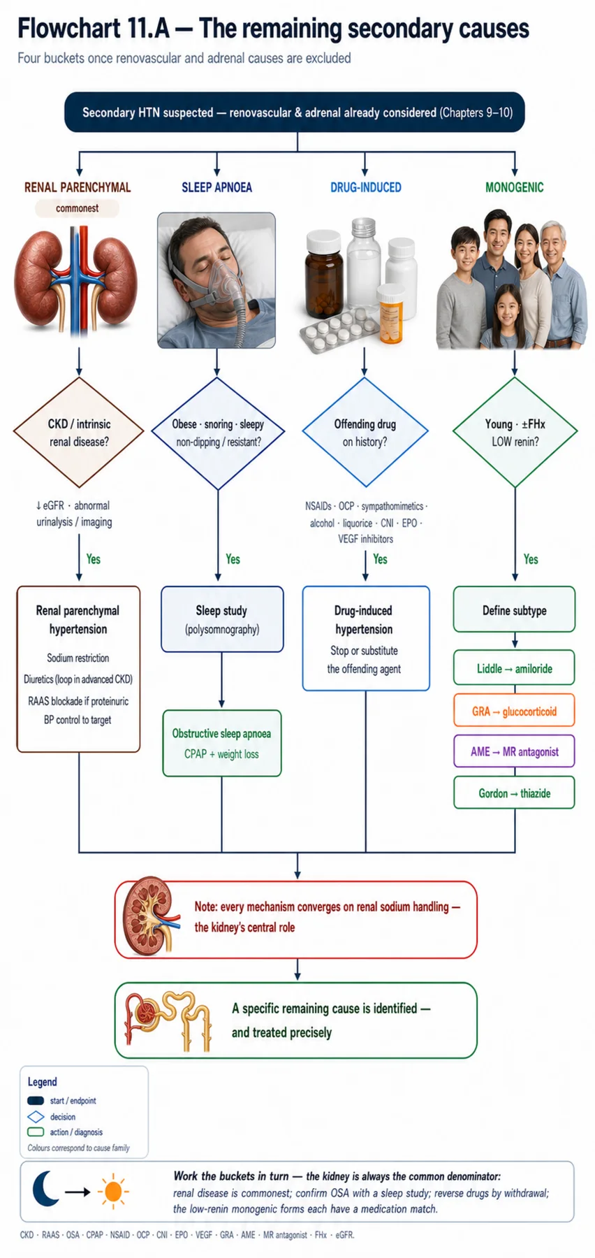 Flowchart 11.A - The remaining secondary causes