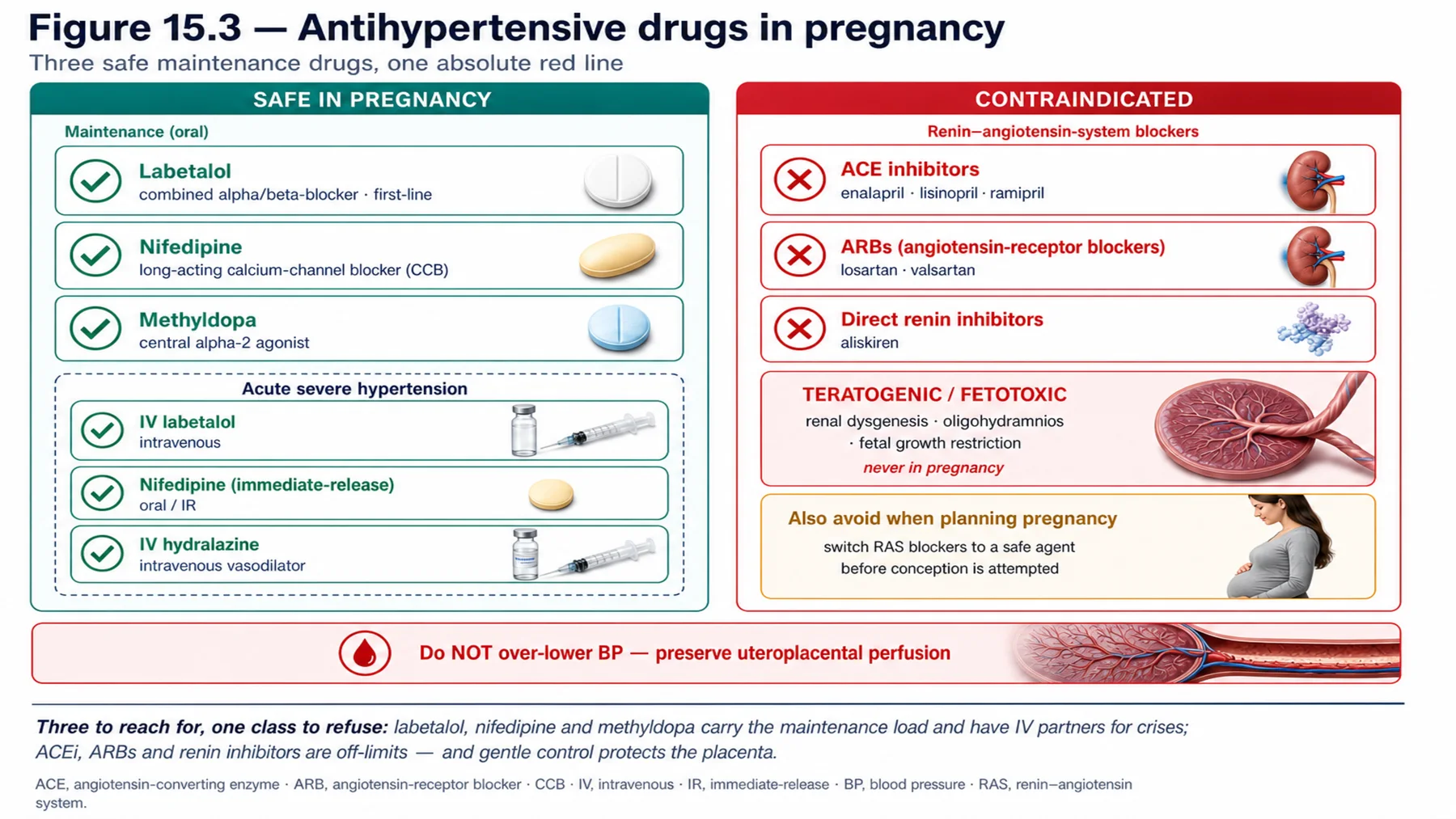 Figure 15.3 - Antihypertensive drugs in pregnancy