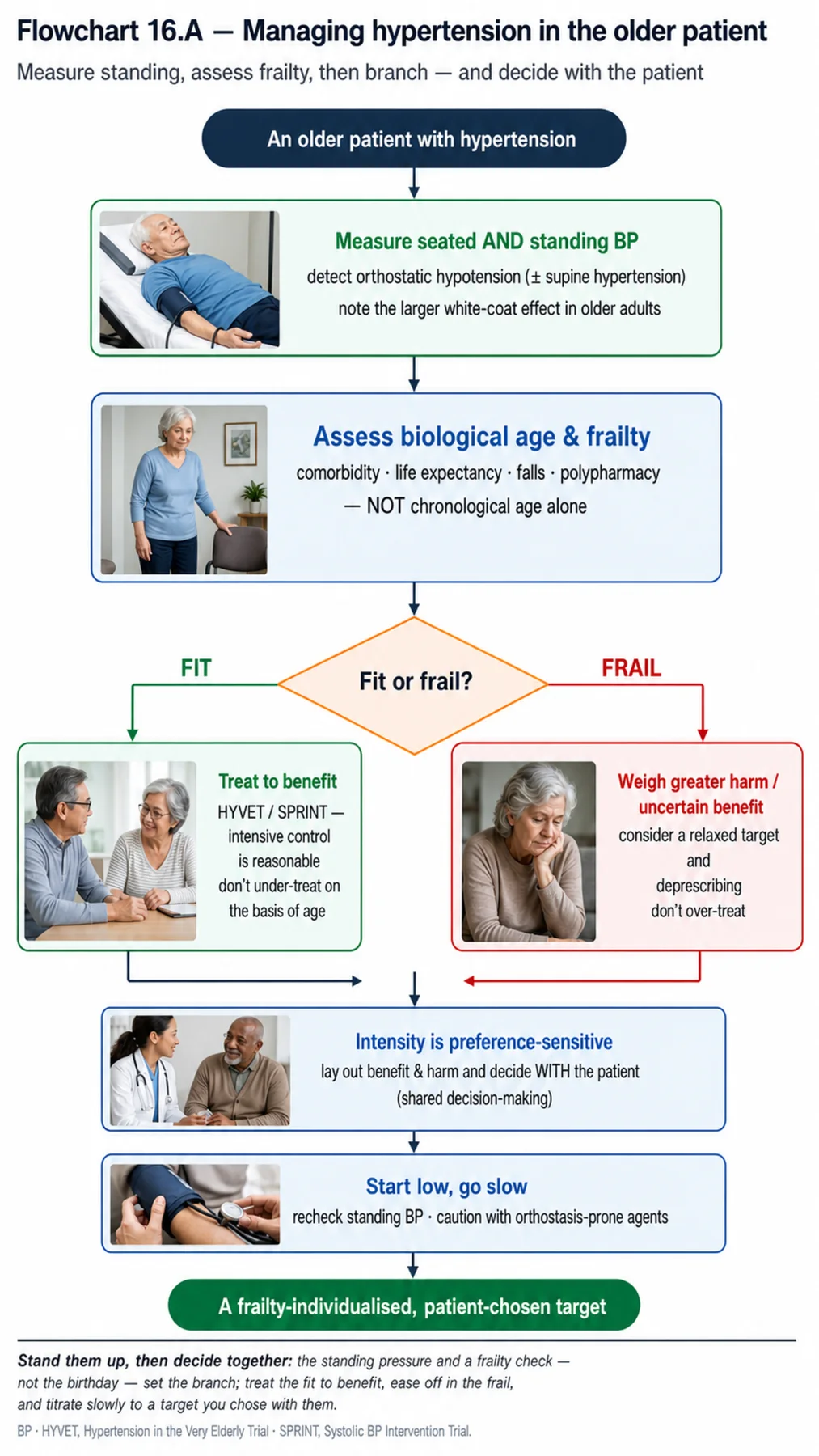 Flowchart 16.A - Managing hypertension in the older patient