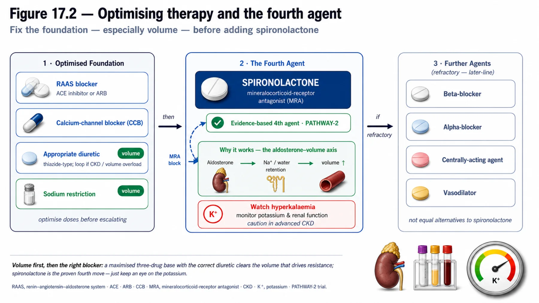 Figure 17.2 - Optimising therapy and the fourth agent