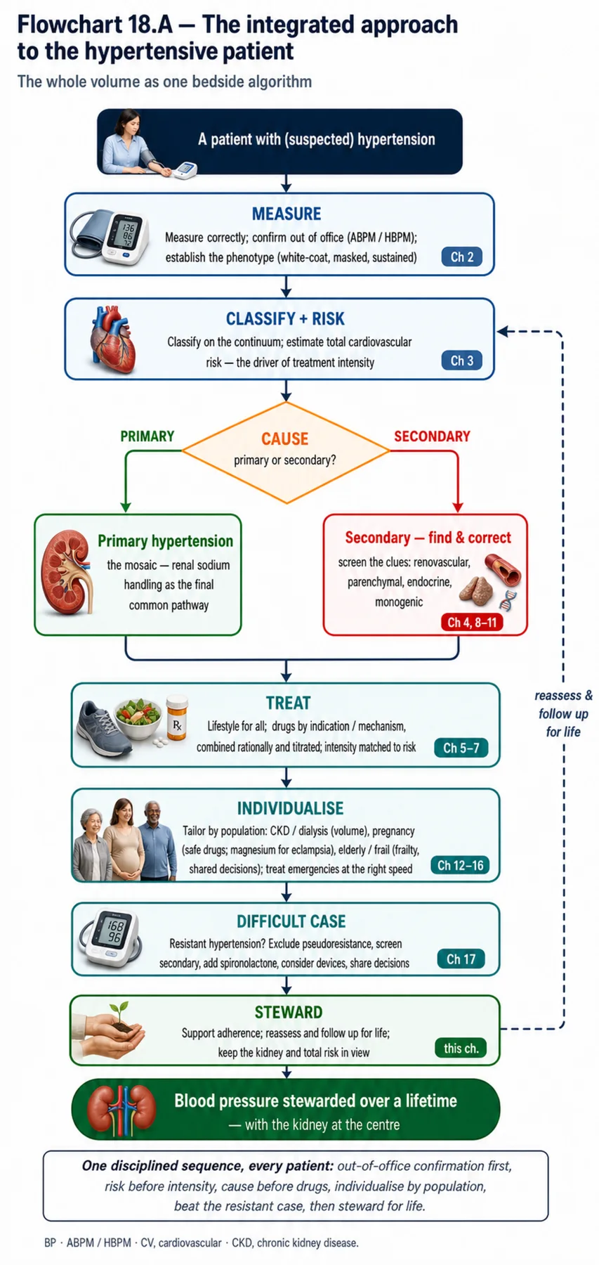 Flowchart 18.A - The integrated approach to the hypertensive patient