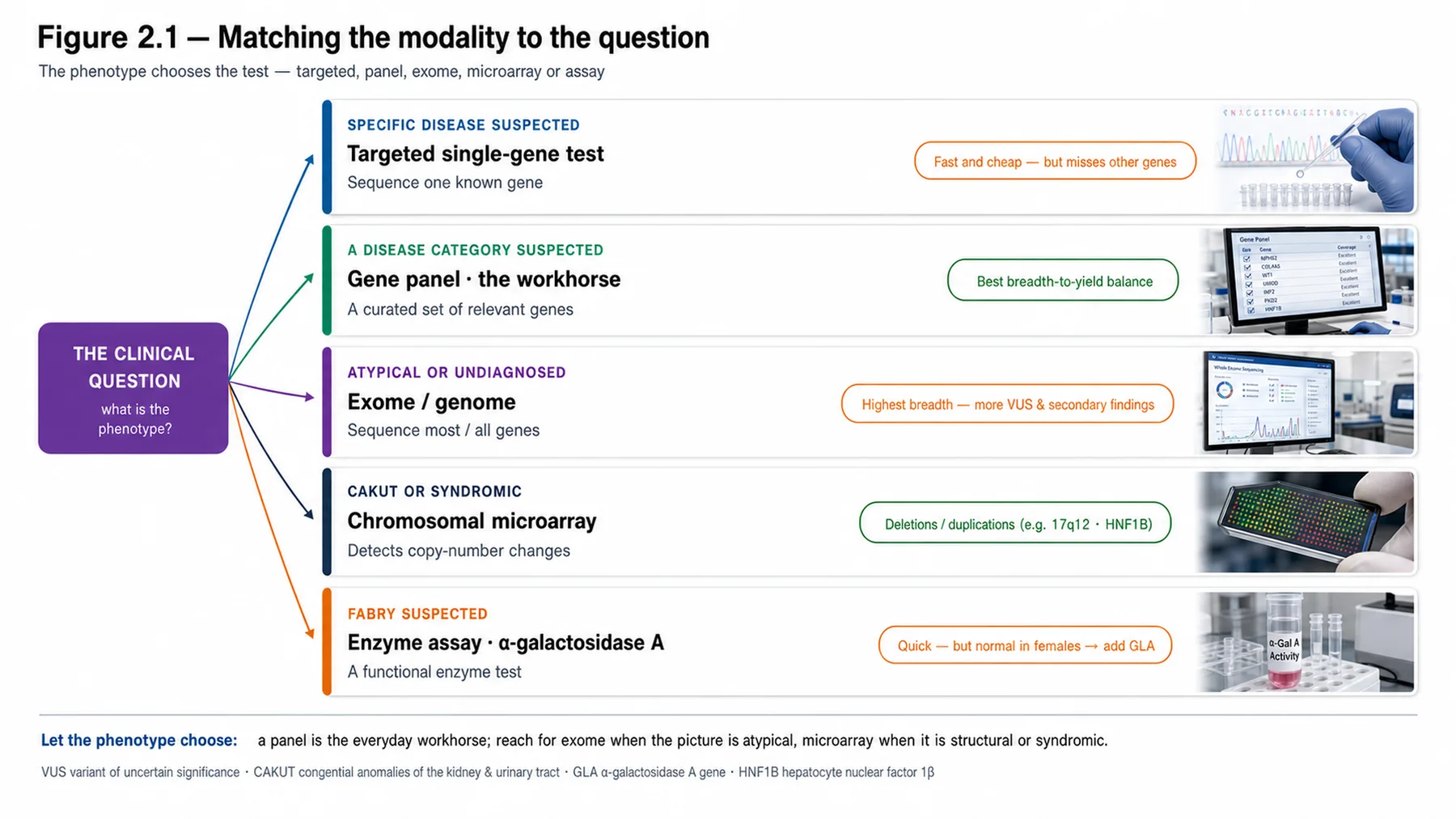 Figure 2.1 - Matching the modality to the question
