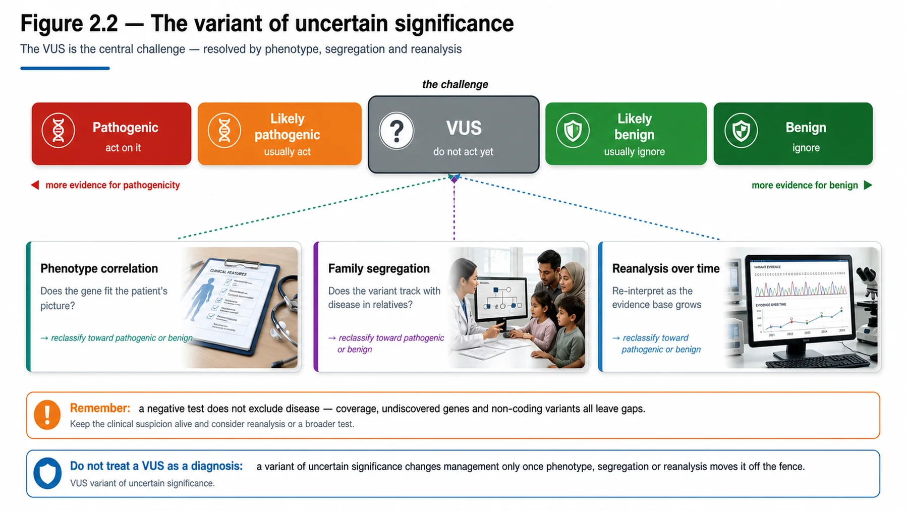 Figure 2.2 - The variant of uncertain significance
