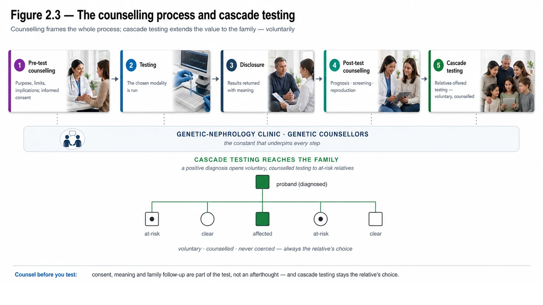 Figure 2.3 - The counselling process and cascade testing