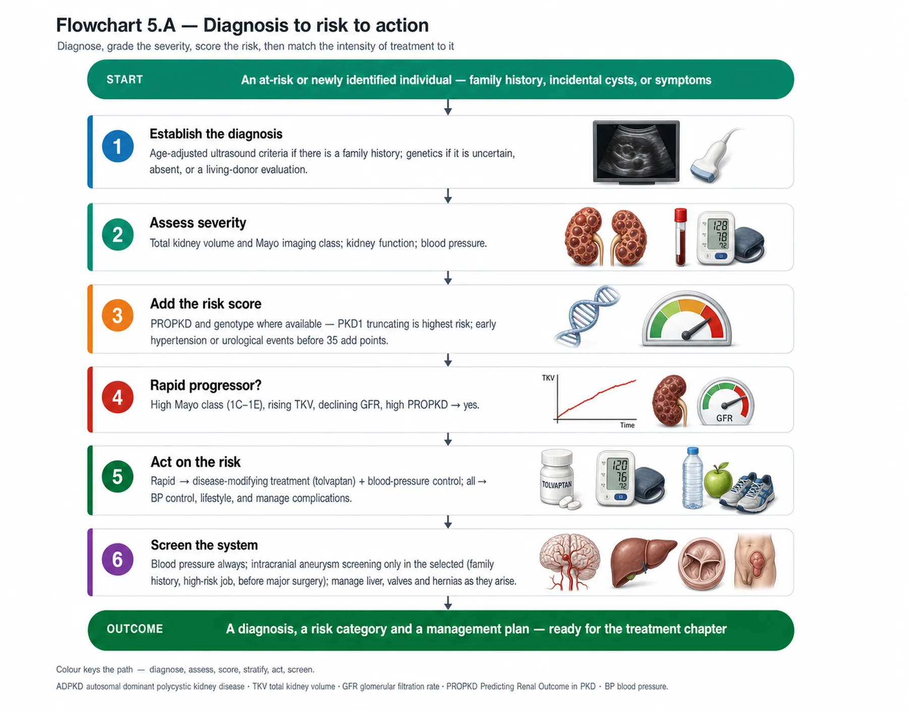 Flowchart 5.A - Diagnosis to risk to action