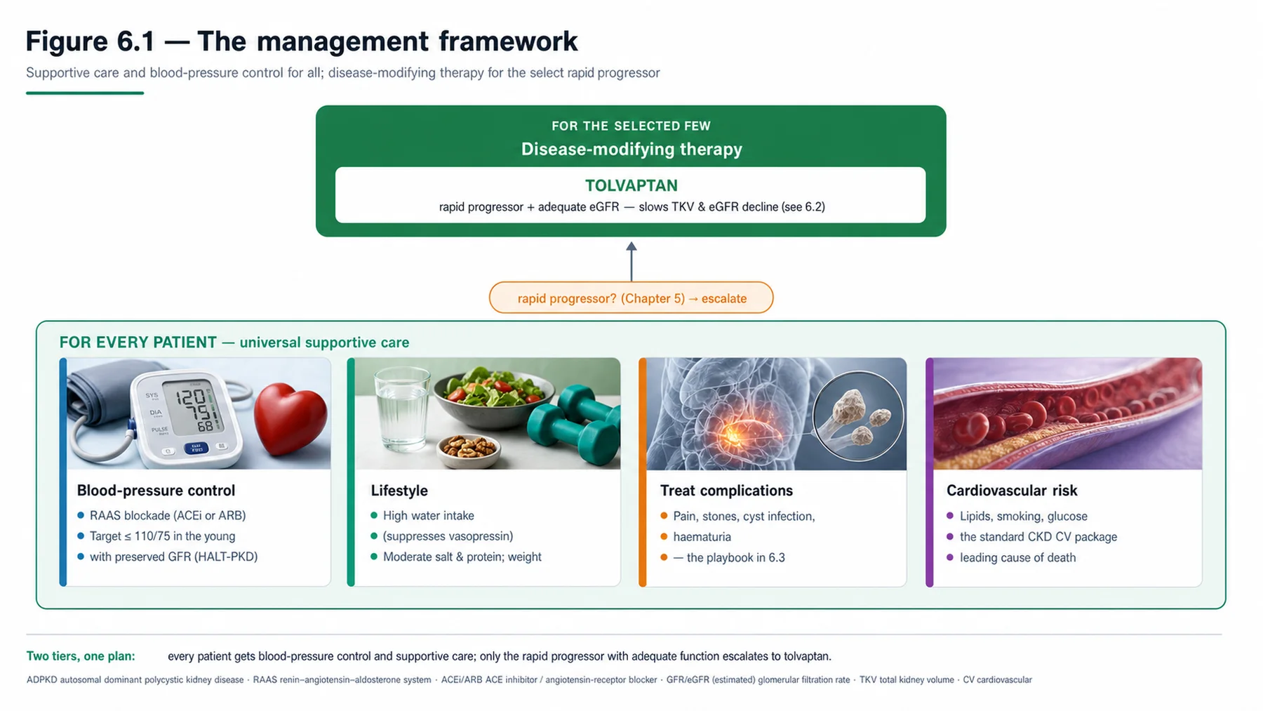 Figure 6.1 - The management framework