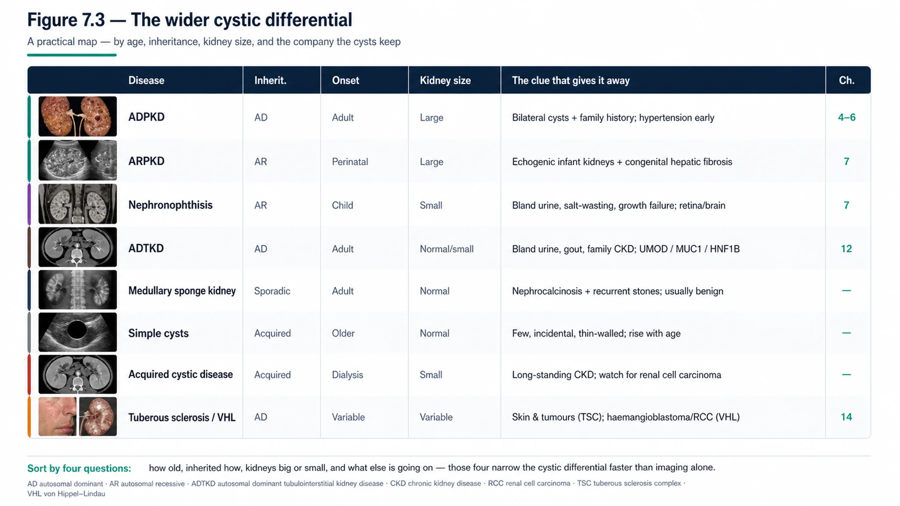 Figure 7.3 - The wider cystic differential