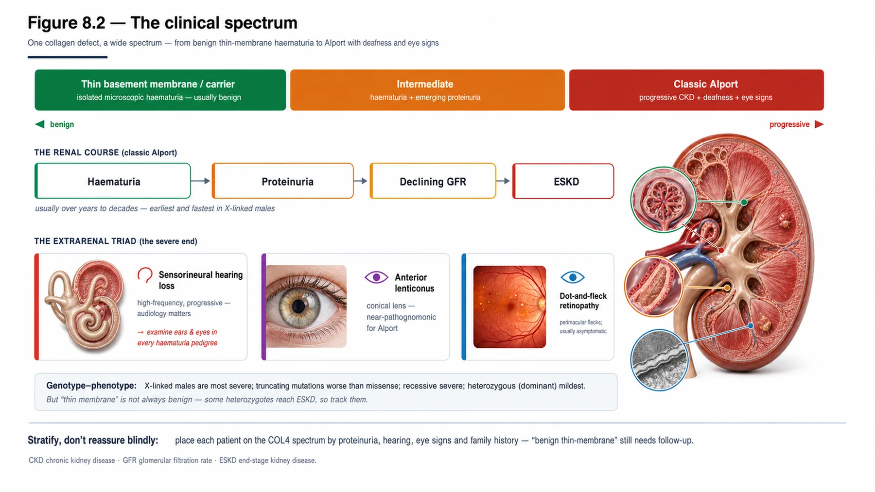 Figure 8.2 - The clinical spectrum