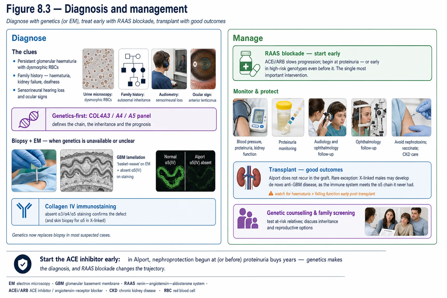 Figure 8.3 - Diagnosis and management