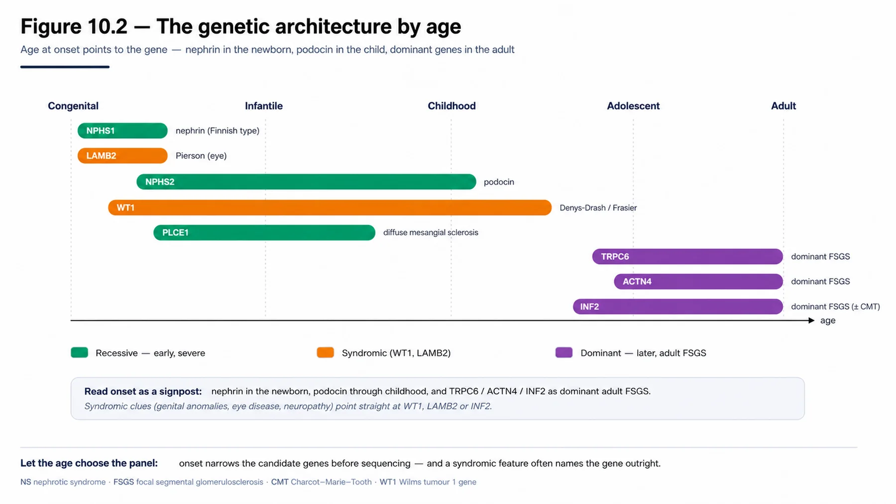 Figure 10.2 - The genetic architecture by age