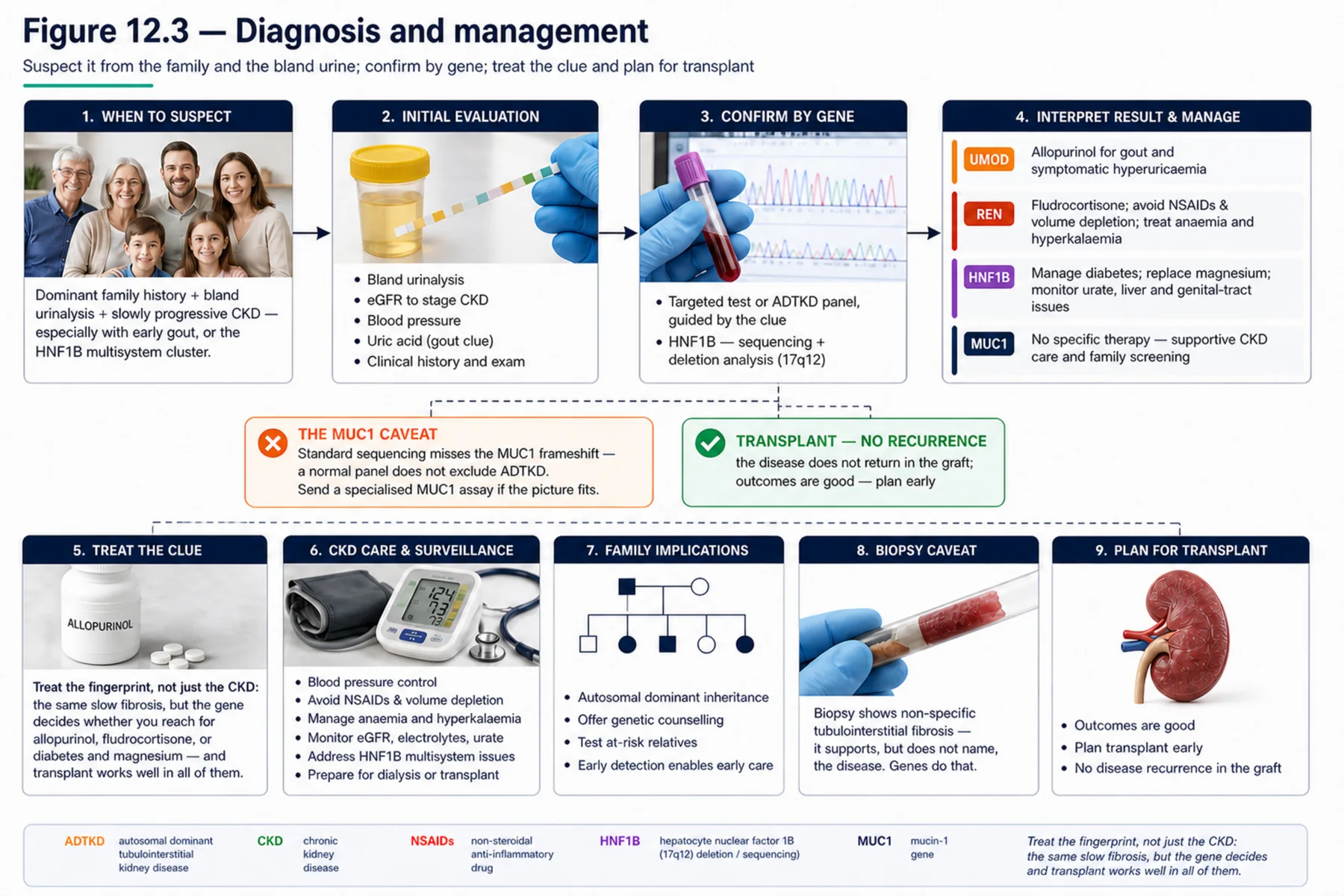 Figure 12.3 - Diagnosis and management