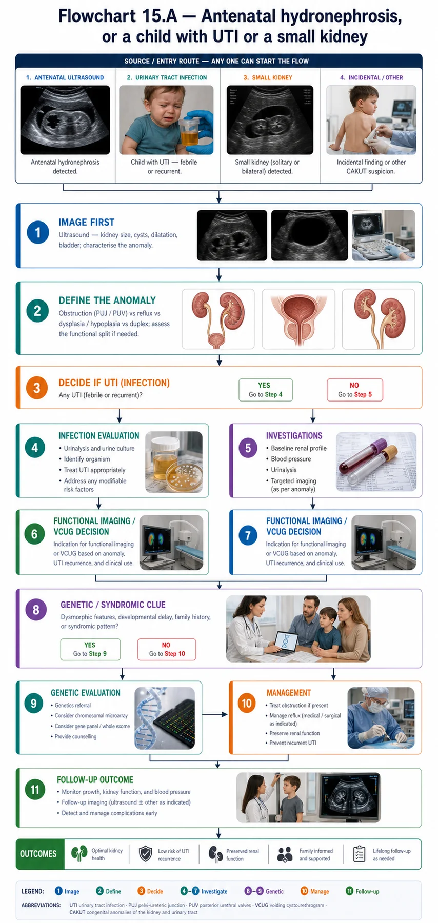 Flowchart 15.A - Antenatal hydronephrosis, or a child with UTI or a small kidney