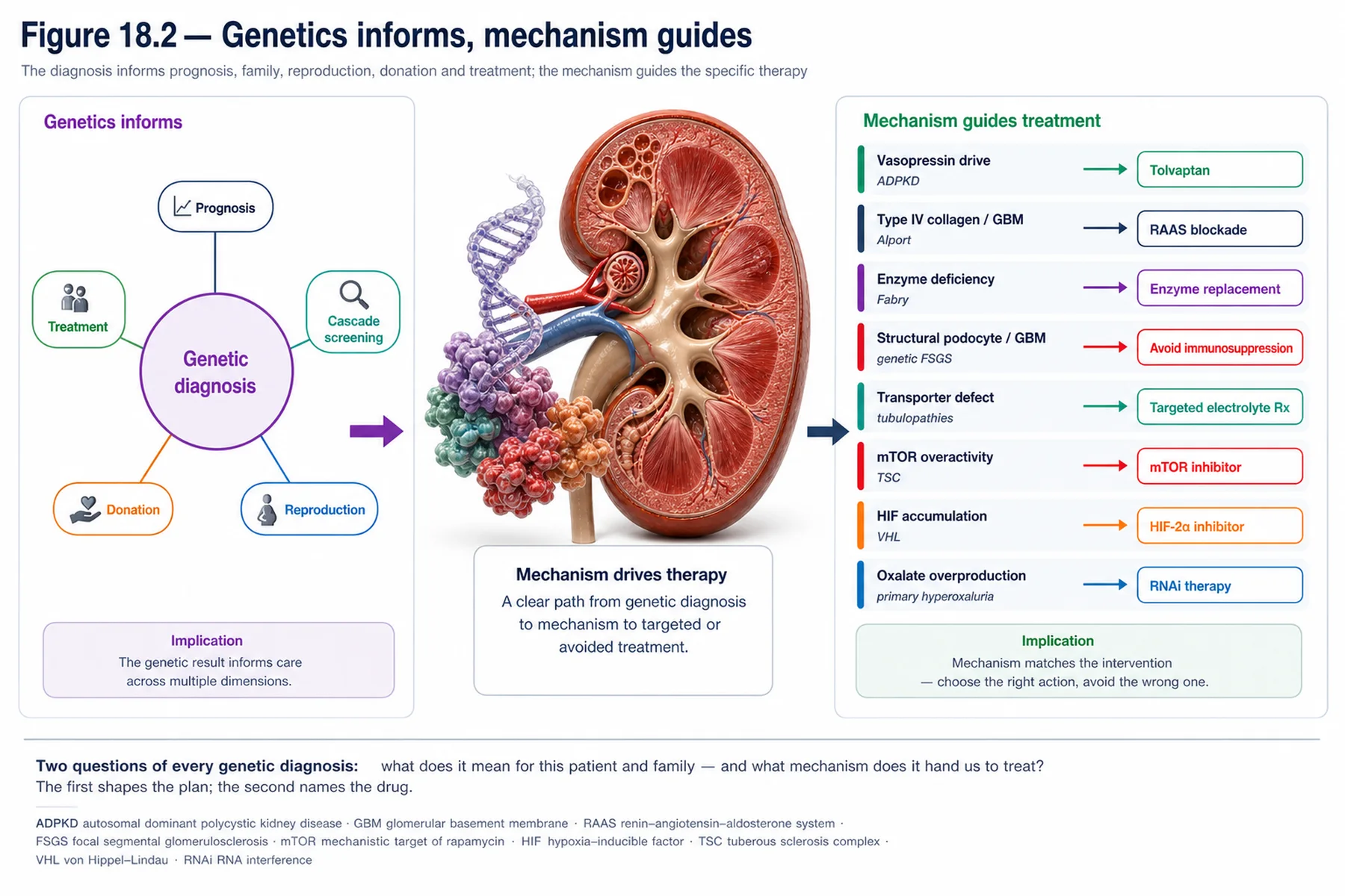 Figure 18.2 - Genetics informs, mechanism guides